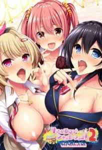 Real Eroge Situation! 2 The Animation cover